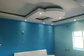 Suspended Ceiling Installation and Repairs, $ 500.00