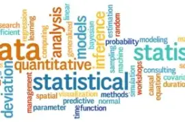 Dissertation Statistical Analysis, $ 80.00
