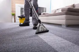 Carpet Cleaning, $ 1.00