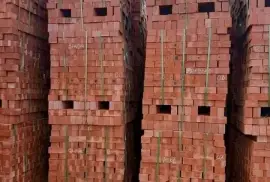 Palletized Common bricks