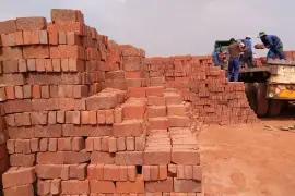 Semi-Common Bricks