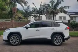 Toyota Rav 4 VX, 2019