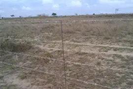 BARBED WIRE FENCING : IDEAL FOR PLOTS & FARMS, $ 5.00
