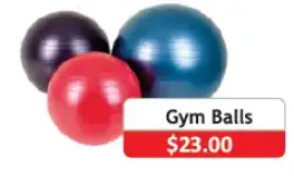 Gym Balls, $ 23.00