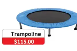 Trampoline, $ 115.00