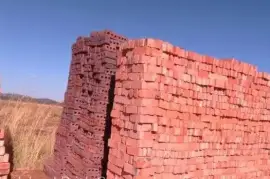 Red Common Bricks 