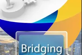  Bridging Finance / Consumer Loans