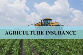 Agricultural Insurance, $ 0.00