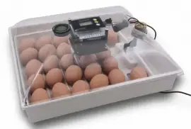 Egg Incubators and Hatchers, $ 50.00