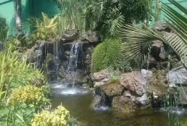 Water Fall Feature Design Construction