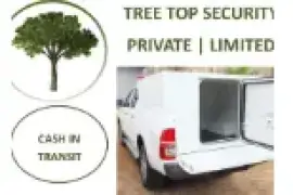 Cash In Transit Services, $ 0.00