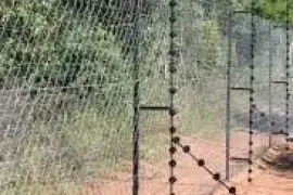 Diamond Mesh And Electric Fence, $ 13.00