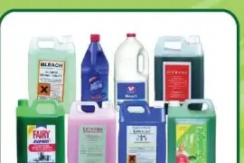 Cleaning  Chemicals, $ 12.00