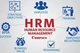 Human Resources ManagementCourse, $ 0.00