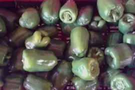 Green  Peppers , $ 0.00