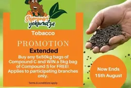 Tobacco Seedlings, $ 0.00