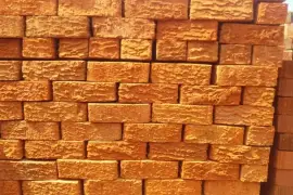 Common Bricks 